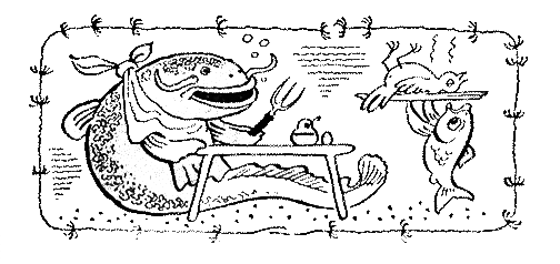 Рыбьи дорожки - i_039.png