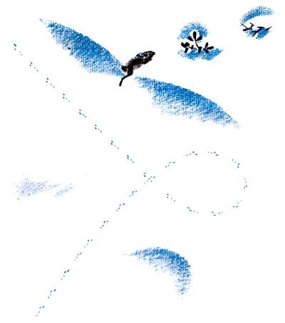 Снежная книга - i_006.jpg