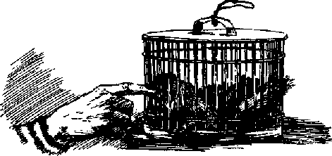 Что я видел (сборник) - i_016.png