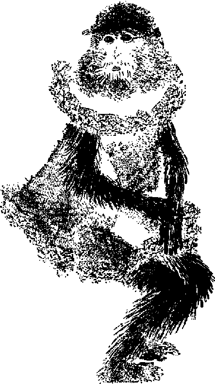 Что я видел (сборник) - i_018.png