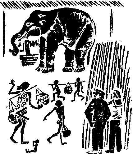 Что я видел (сборник) - i_022.png