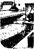 Что я видел (сборник) - i_049.png