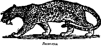 Что я видел (сборник) - i_119.png