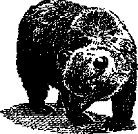 Что я видел (сборник) - i_126.png