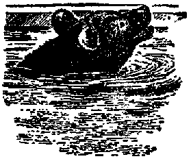 Что я видел (сборник) - i_127.png