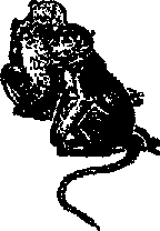 Что я видел (сборник) - i_129.png