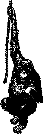 Что я видел (сборник) - i_130.png