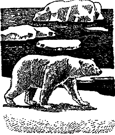 Что я видел (сборник) - i_146.png