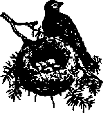 Что я видел (сборник) - i_153.png