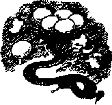 Что я видел (сборник) - i_154.png