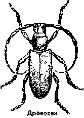 Что я видел (сборник) - i_156.png