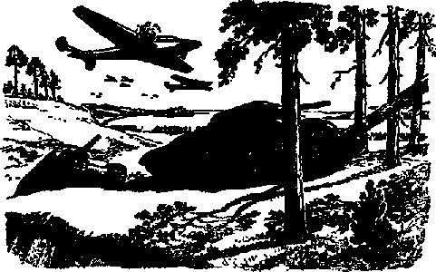 Что я видел (сборник) - i_159.png