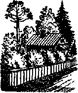 Что я видел (сборник) - i_162.png