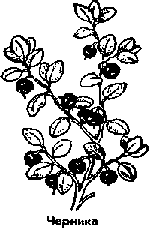 Что я видел (сборник) - i_182.png