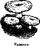 Что я видел (сборник) - i_186.png