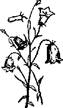 Что я видел (сборник) - i_188.png