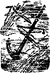 Что я видел (сборник) - i_223.png