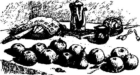 Что я видел (сборник) - i_305.png