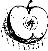 Что я видел (сборник) - i_308.png