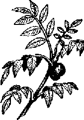 Что я видел (сборник) - i_312.png