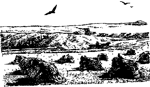 Что я видел (сборник) - i_314.png