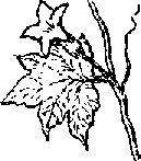 Что я видел (сборник) - i_328.png