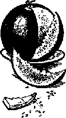 Что я видел (сборник) - i_330.png