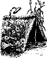 Что я видел (сборник) - i_341.png