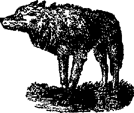 Что я видел (сборник) - i_345.png