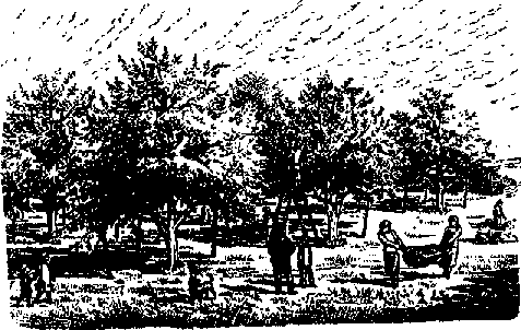 Что я видел (сборник) - i_347.png