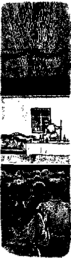 Что я видел (сборник) - i_363.png