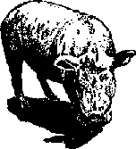 Что я видел (сборник) - i_373.png