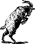 Что я видел (сборник) - i_374.png