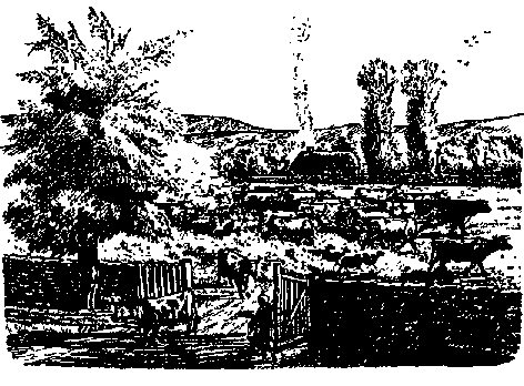 Что я видел (сборник) - i_410.png