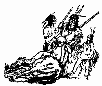 Голубий Птах, названий син ірокезів - i_004.png