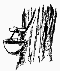 Голубий Птах, названий син ірокезів - i_018.png