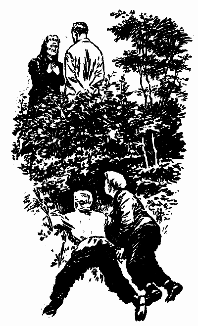 Бронзовий птах - doc2fb_image_03000015.png