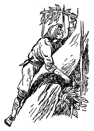 Острів Робінзона - i_006.png