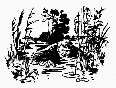 Дунайські ночі - i_009.png