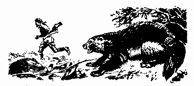 Заповіт мисливця - doc2fb_image_03000018.png