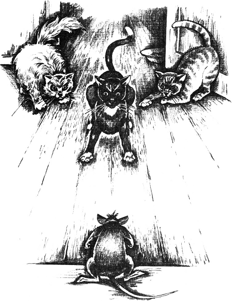 Магнус-Супермыш - img13.png