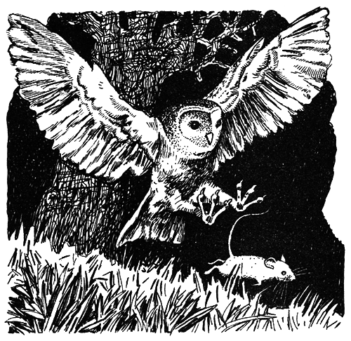 Школьная мышь - i_008.png