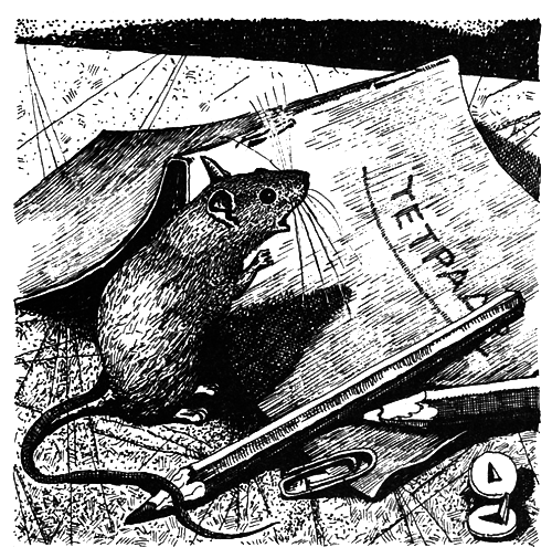 Школьная мышь - i_011.png