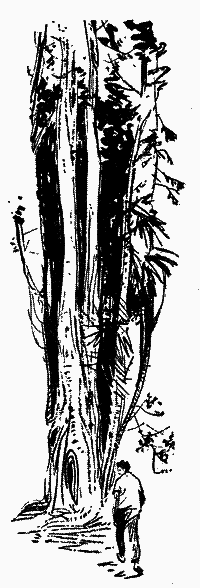 Карафуто - i_013.png