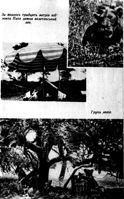 Таємнича Африка - doc2fb_image_03000016.png