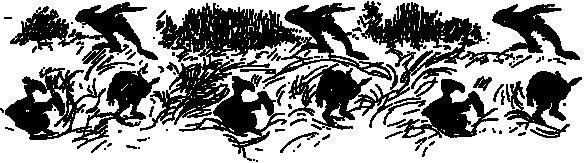 Как леопард получил свои пятна - i_001.jpg