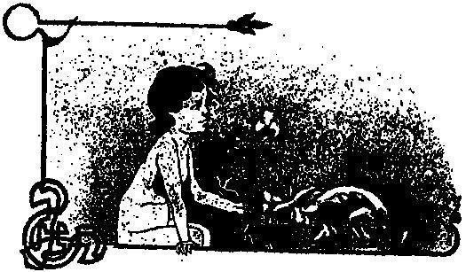 Как леопард получил свои пятна - i_004.jpg