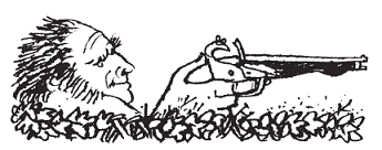 Подарки фей - pic_66.png