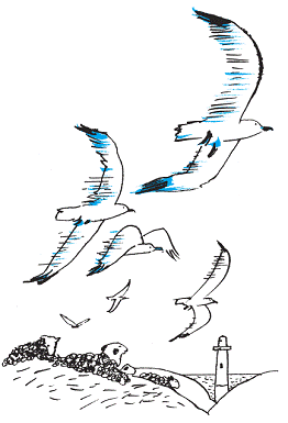 Подарки фей - pic_73.png