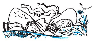 Подарки фей - pic_75.png